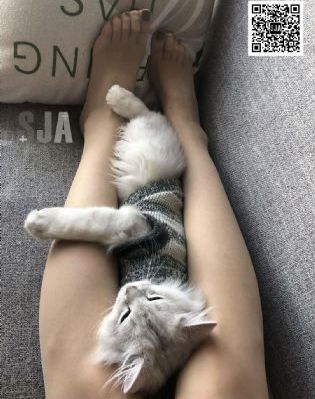 激情婷婷小说_国产剧在线观看